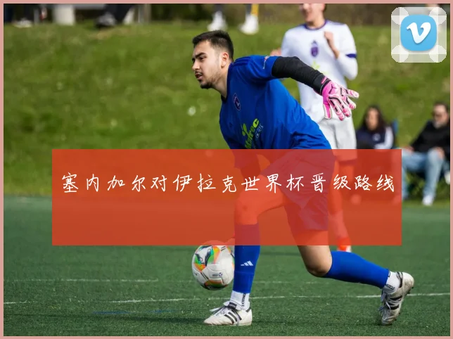 塞内加尔对伊拉克世界杯晋级路线