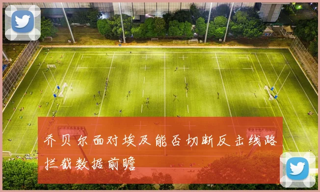 乔贝尔面对埃及能否切断反击线路拦截数据前瞻